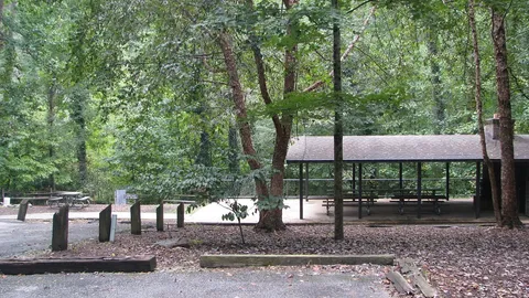 Camp WaBak Rambler Cabin — image 6 of 6