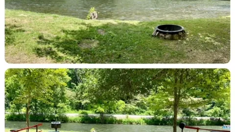 Riverside Single Campsite - 2 tents or 1 Van — image 2 of 7