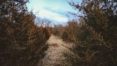 Juniper Camp — image 2 of 12