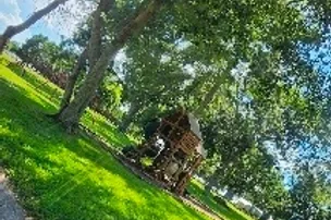 Train Station RV Park Tifton – photo 5