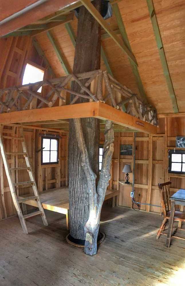 Cashie River Treehouses and Campground - Photo 2