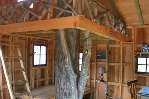 Cashie River Treehouses and Campground – photo 2