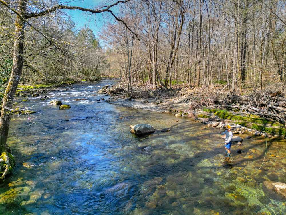Park Image 18