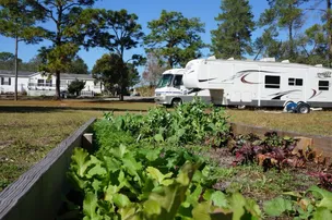 Eden RV Resort – photo 3