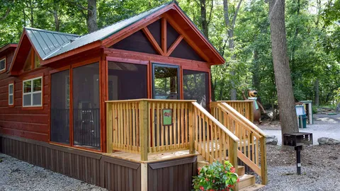 Pine Forest Cabin — image 1 of 23