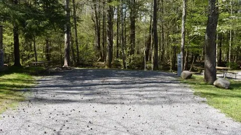 Premium Off River Full Hookup RV Site — image 2 of 10