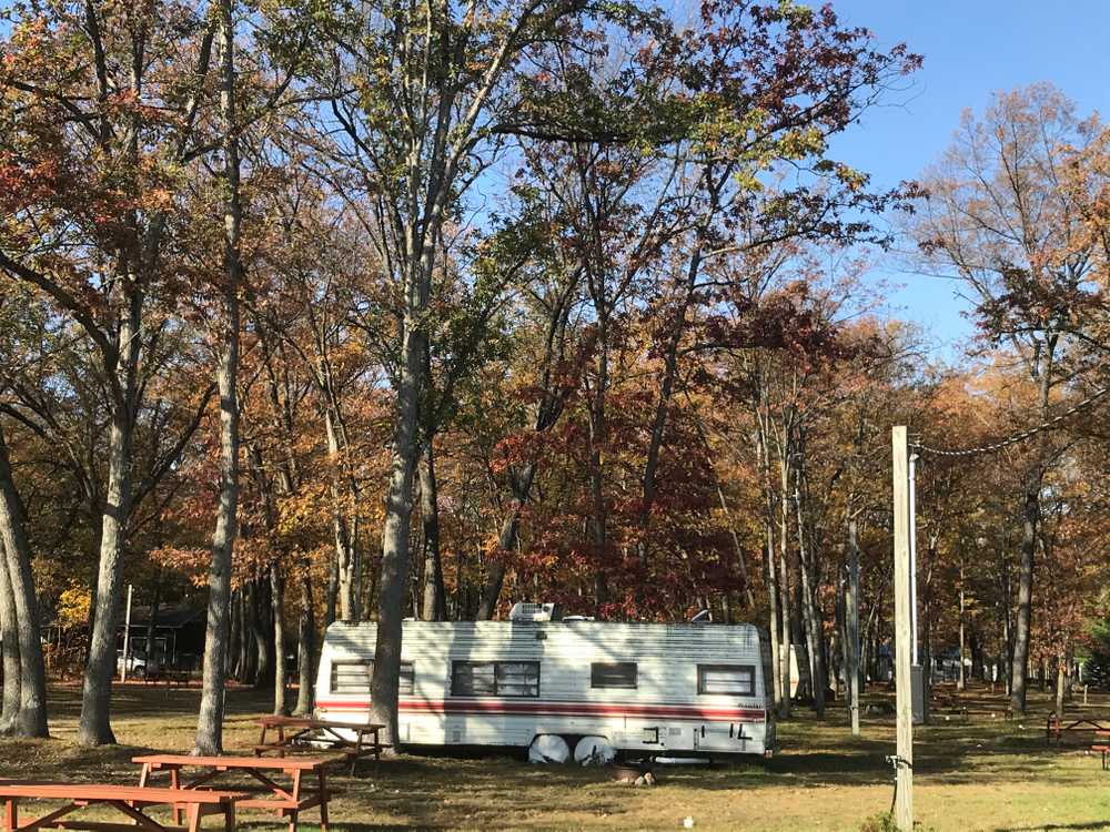 Park Image 1