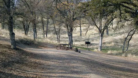 Basic Site — image 2 of 7
