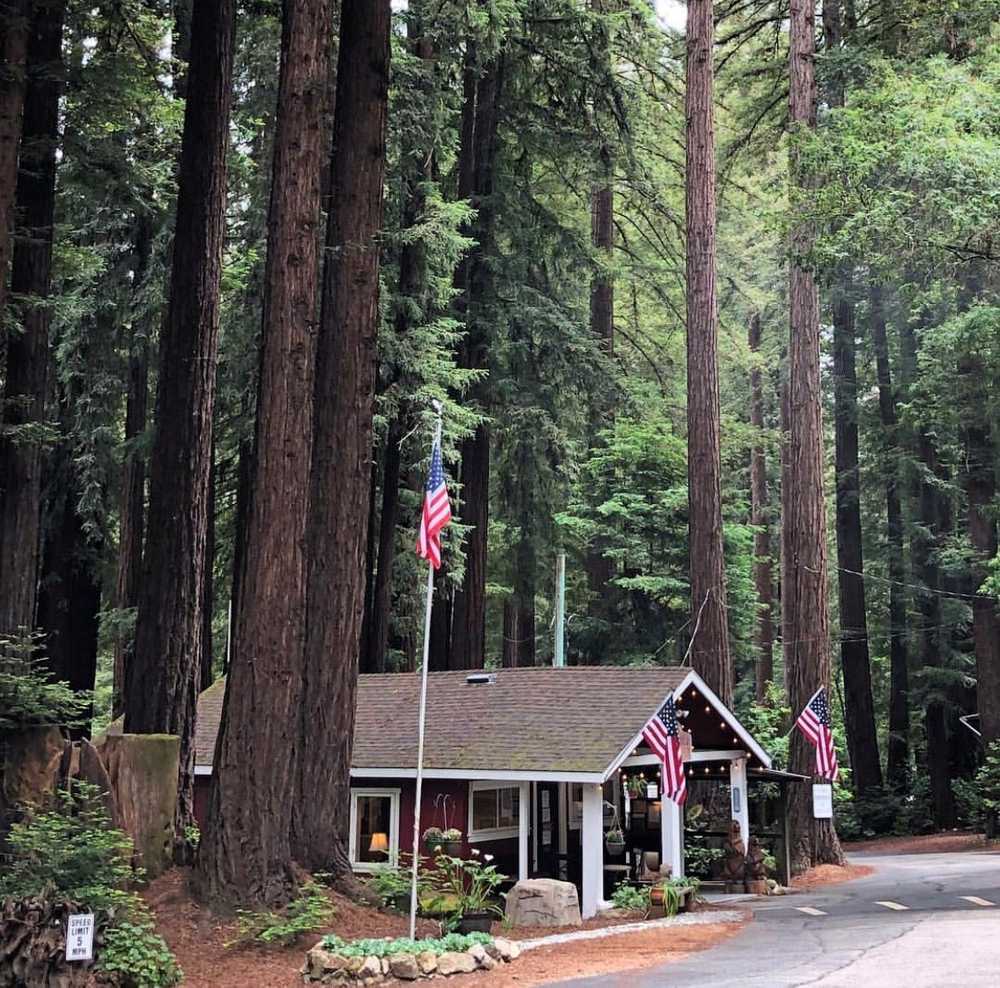 Santa Cruz Redwoods RV Resort, Felton, California - Photo 5