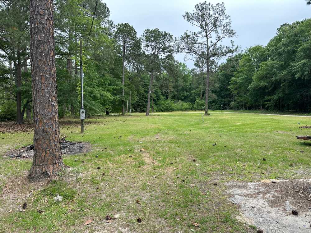 Pine Grove RV Park - Photo 5