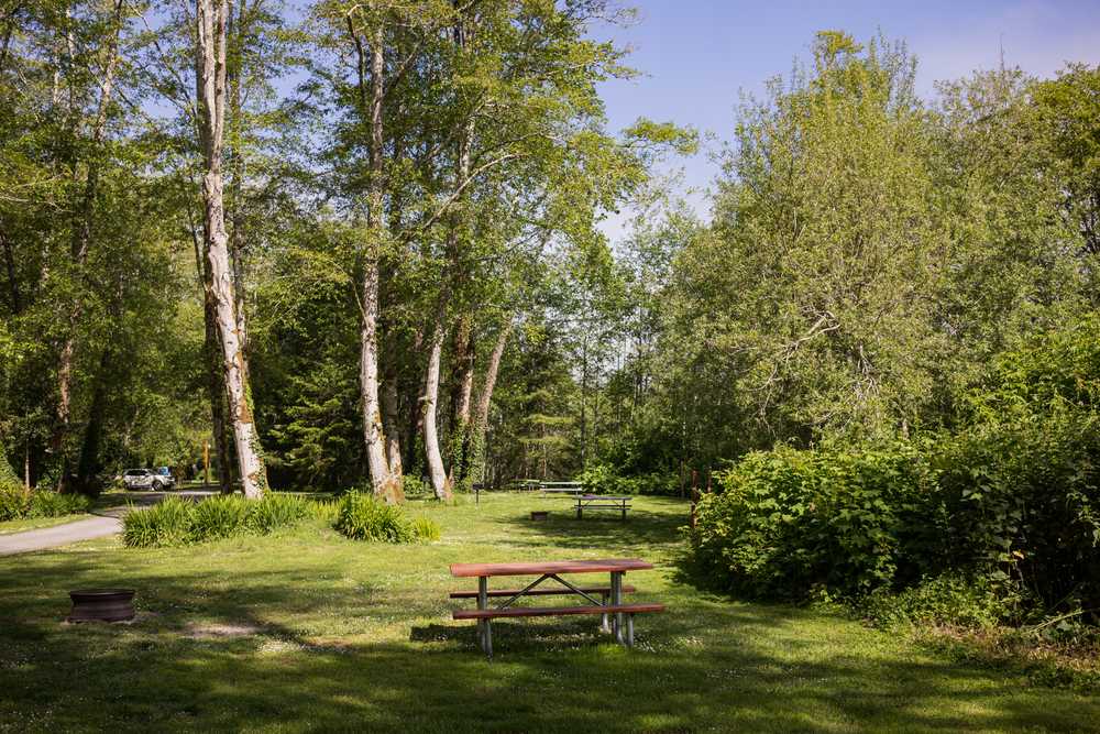 Park Image 12