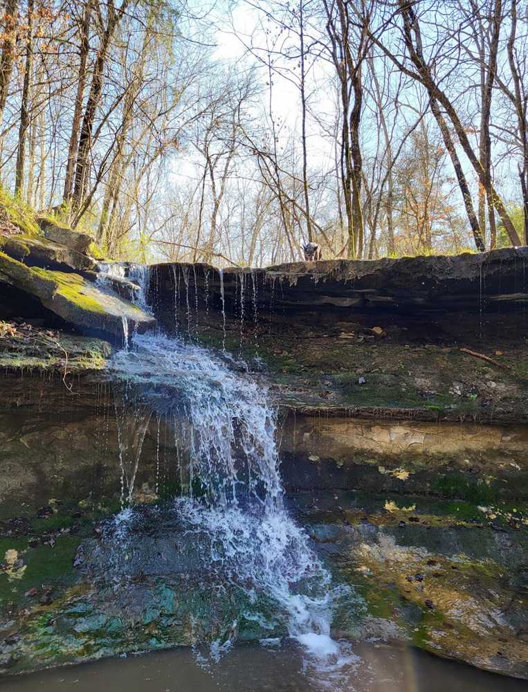 Wilderness adventure park - Tahlequah, OK - Photo 3