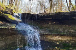 Wilderness Adventure Park – photo 3