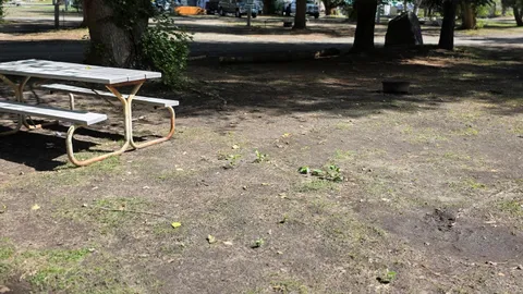 Tent Site — image 2 of 7