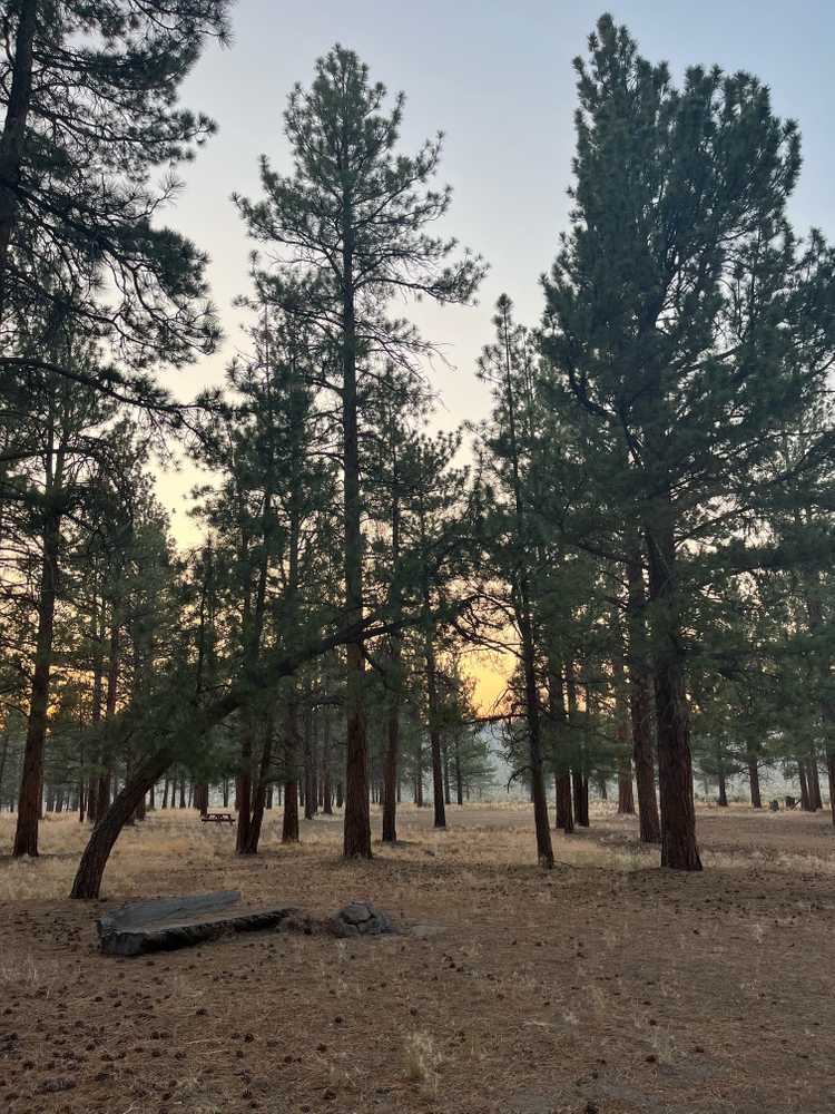 Park Image 5