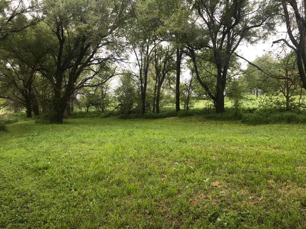 Cottonwood Grove RV Campground, Hesston, Kansas - Photo 5