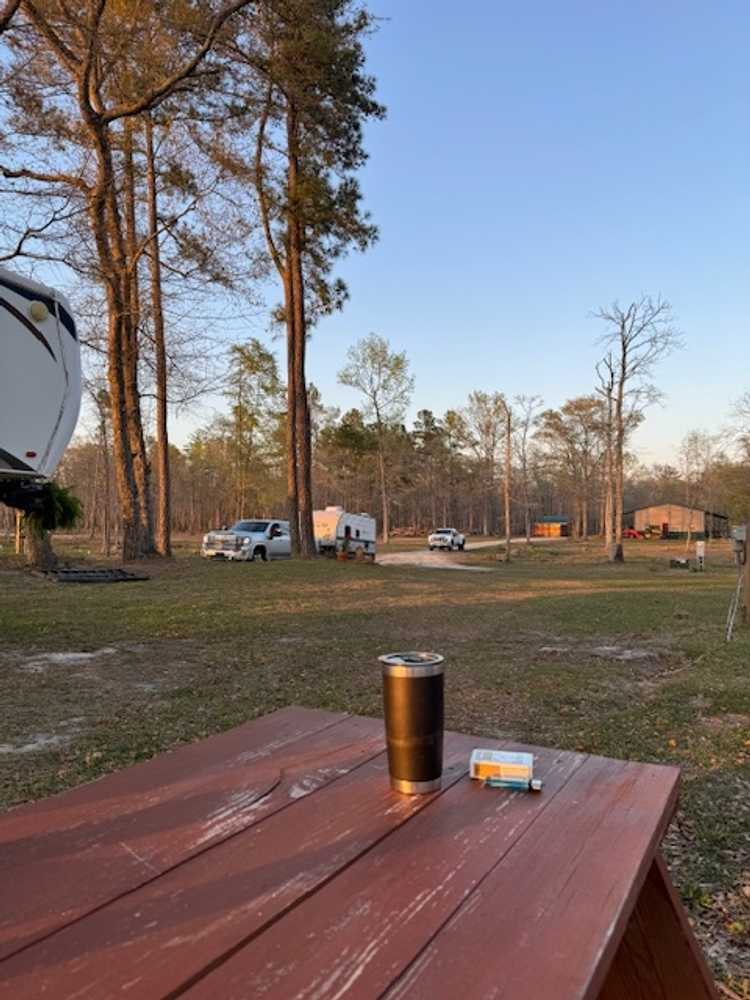 Dixon Landing RV Resort, Grantsboro, North Carolina - Photo 5