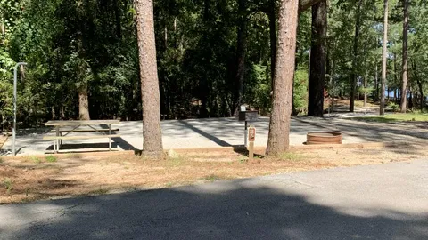 50 AMP Savannah River Interior Campsite — image 16 of 16