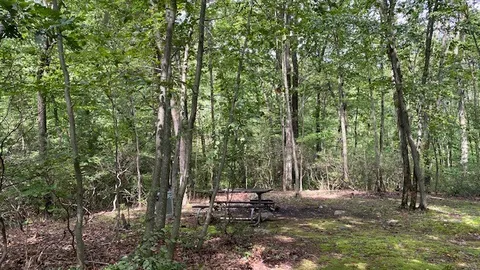 Yellow Trail Tent Site (map #15) Note: site access requires 5 minute hike from parking area — image 2 of 5