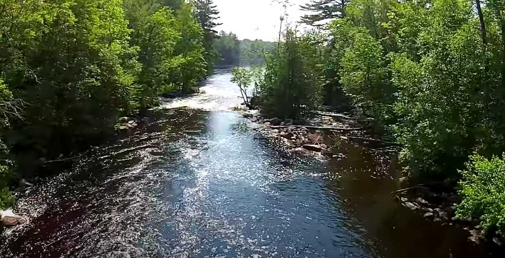 Lake of The Falls County Park - Photo 4