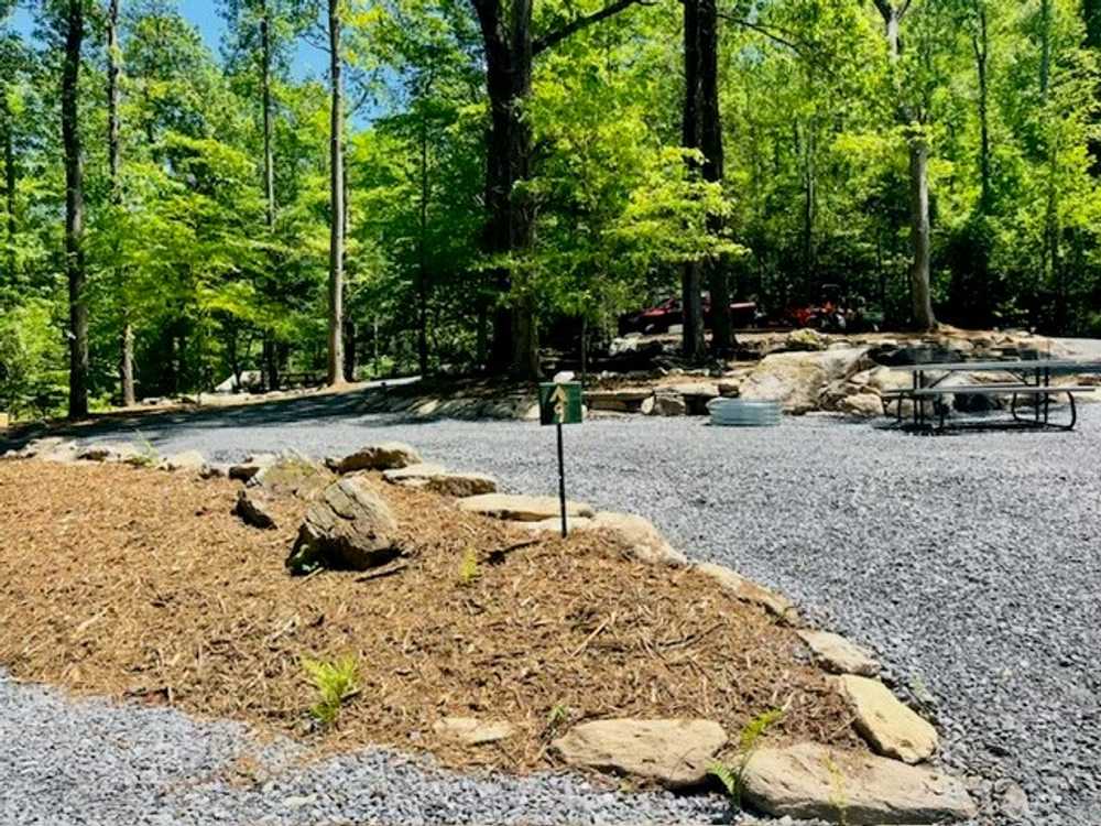 Wilderness Cove Campground - Main Photo