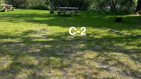 Section C — image 2 of 3