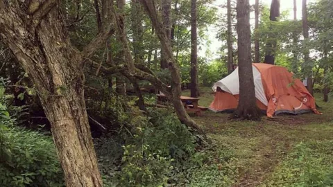 Primitive Tent Site — image 2 of 4