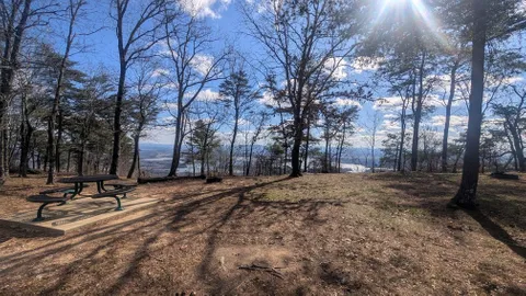 Primitive Tent Site — image 2 of 3