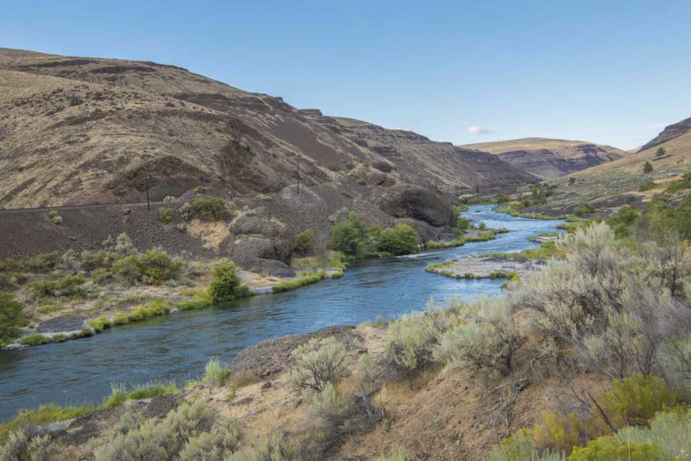 Oasis Riverview Campground - Photo 2
