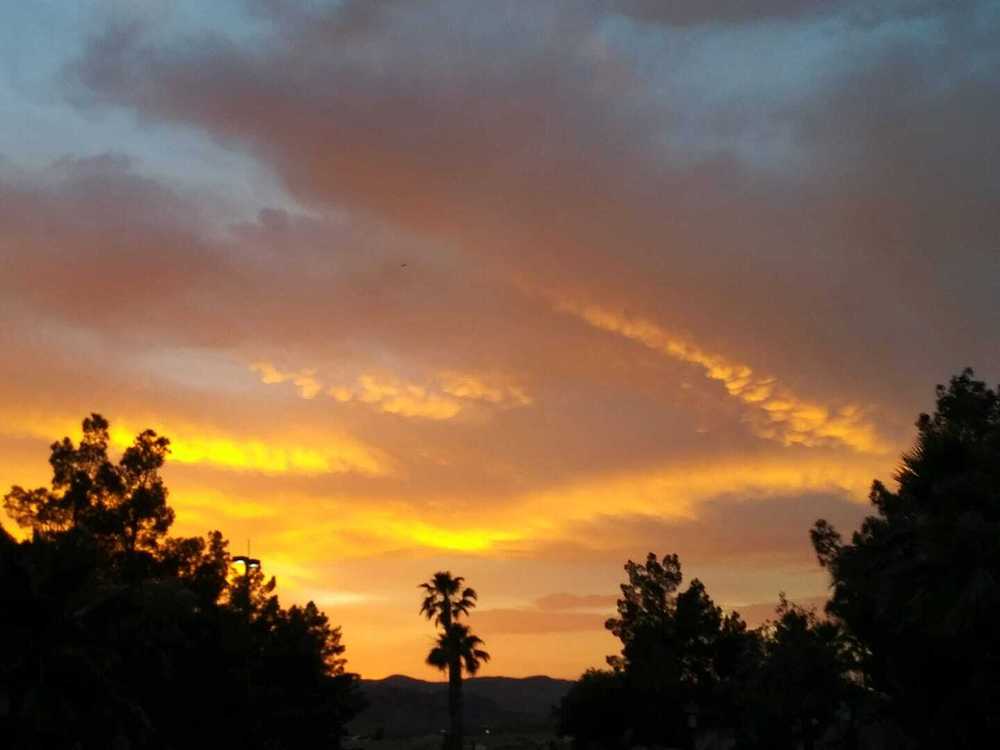 Nevada Treasure RV Resort - Photo 4