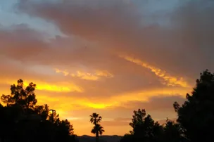 Nevada Treasure RV Resort – photo 4
