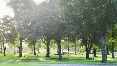 30/50 AMP Family Fun Land Site — image 1 of 3