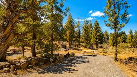 S4 – 12×30 Back-In RV/Tent Site (Up to 30 ft) — image 1 of 10