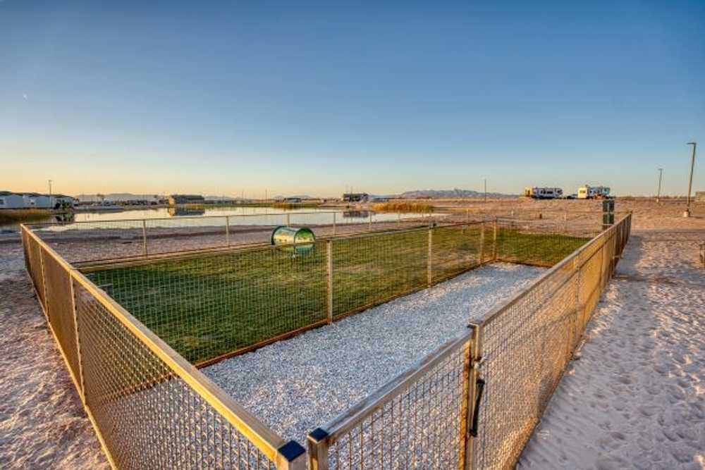 River Sands RV Resort - Ehrenberg, AZ - Photo 3