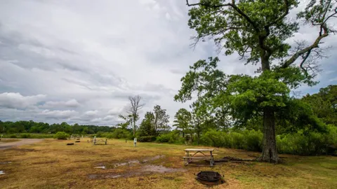 Tent Site — image 5 of 5