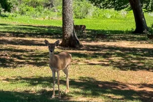 Lake Humphreys – photo 2