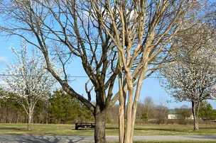 Searcy RV Resort – photo 4