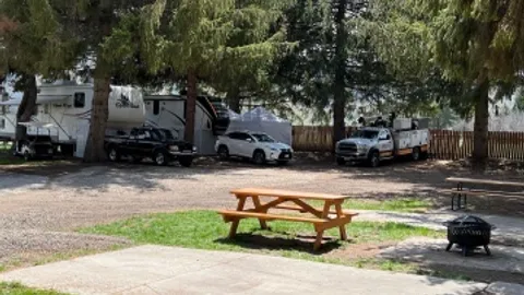 In the Trees Pull Through- Full Hookups — image 1 of 3