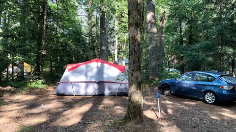 Wilderness Tent — image 2 of 40