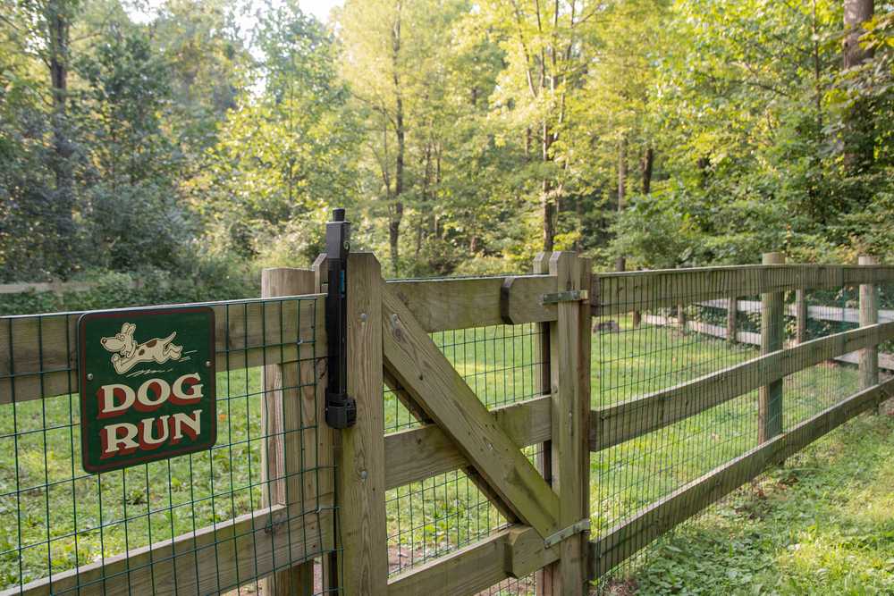 Park Image 12