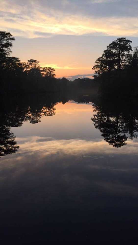 Tranter's Creek Resort & Campground - Photo 5