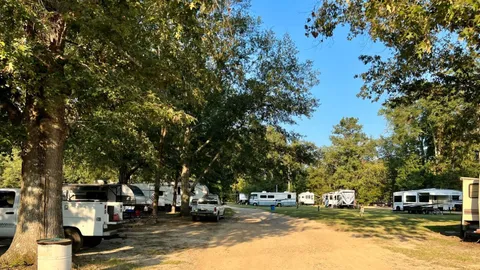 Magnolia Flat A — image 6 of 6