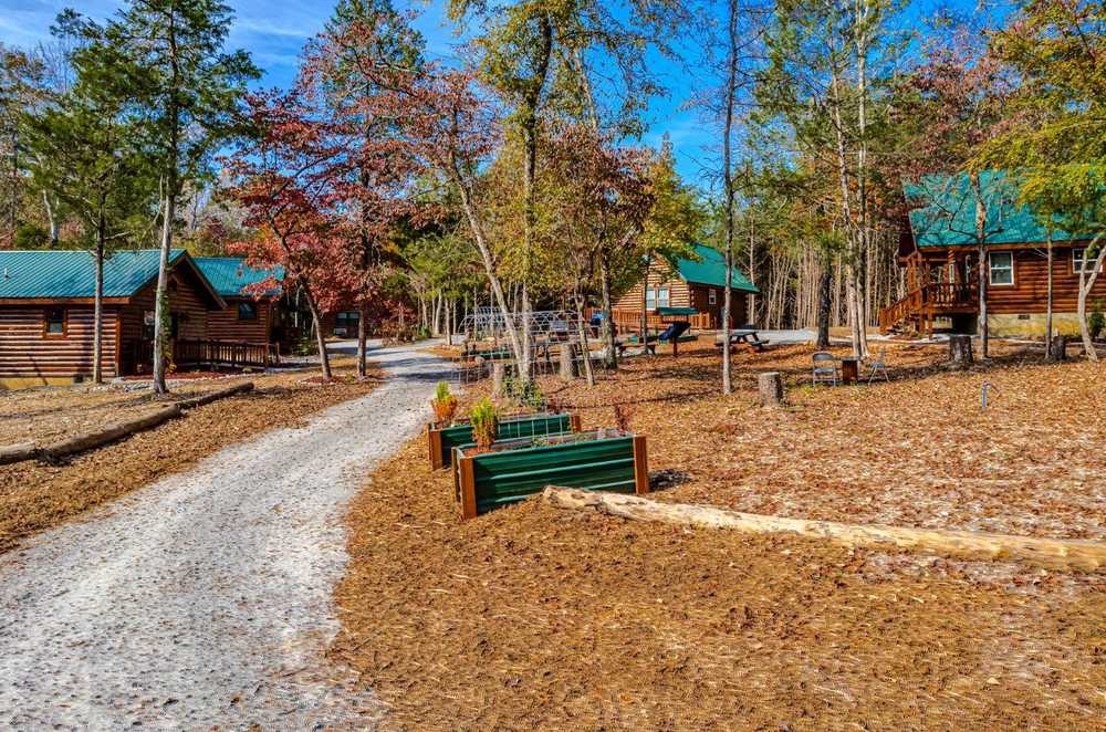 Twice is Nice - Englewood, TN - Photo 4