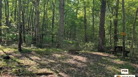 Primitive Walk In Tent Site — image 22 of 22
