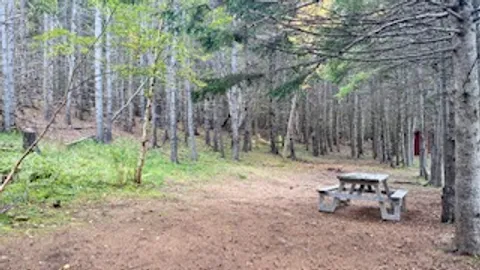 Unserviced Wooded Tent/Popup Sites — image 2 of 3