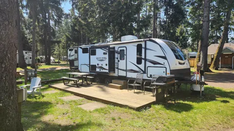 C11 - White Hawk by Jayco — image 1 of 6