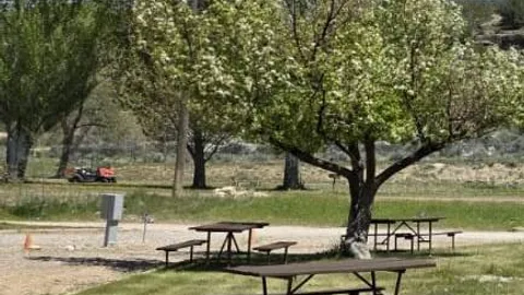 Tent Site — image 2 of 8