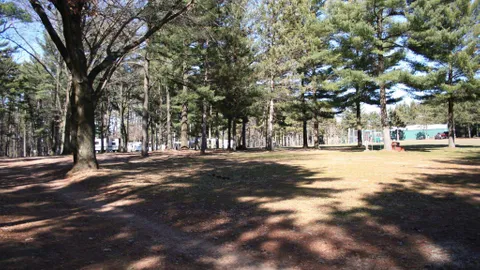 Basic Campsite — image 1 of 2