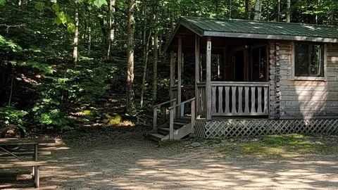 Cabin- One Room, Wooded — image 2 of 7