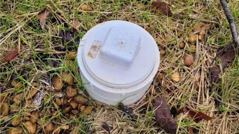Back-In RV Site — image 6 of 6